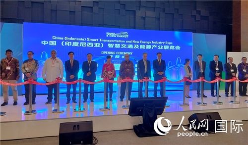 第五届中国—印尼贸易博览会在雅加达开幕，聚焦网络信息技术开发